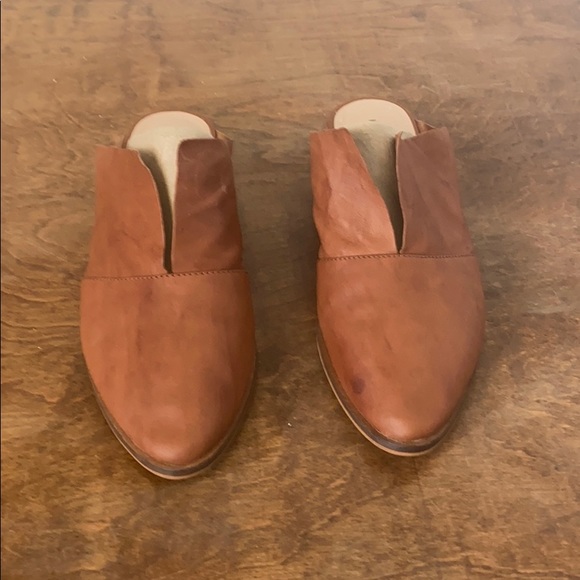 Kelsi dagger Brooklyn - Picture 4 of 4